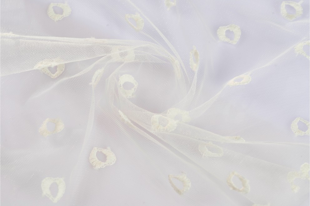 Polka Dot Tulle Broidery